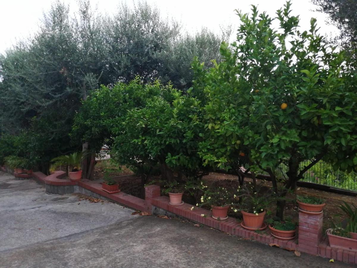 Villa Giannina Massa Lubrense Ngoại thất bức ảnh